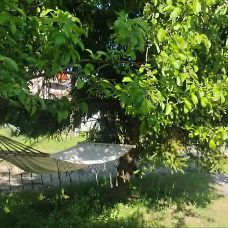 Lipowy Mazury